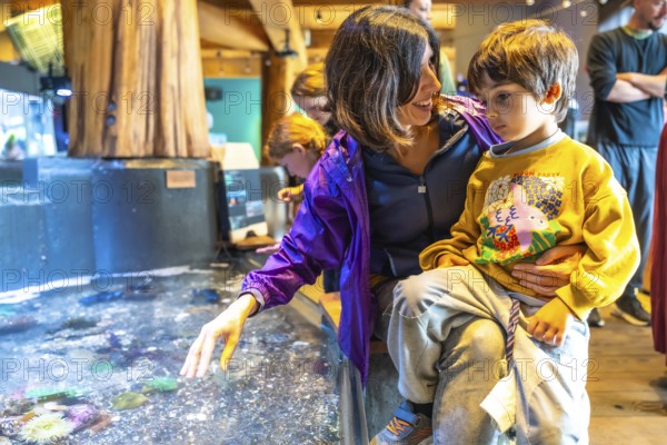 Mother holds her son while pointing at the diverse marine life within a touch tank at an aquarium, creating a memorable learning experience