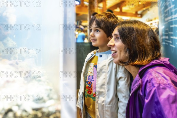 Mother and child are enjoying a day at the aquarium, marveling at the colorful fish and other marine life swimming in a large, well lit tank, creating a memorable learning experience