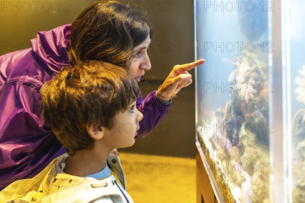 Mother pointing at fish in large aquarium tank, sharing educational moment with her son, promoting marine life awareness and family bonding