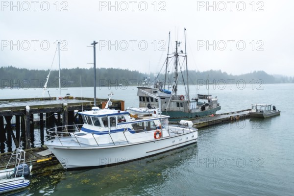 Fishing boats and various vessels moored at a pier on a foggy day, creating a tranquil and atmospheric scene filled with maritime activity and coastal beauty