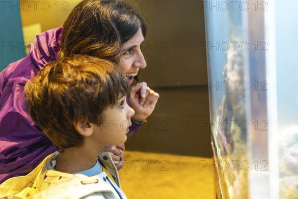 Mother and son are enjoying a day at the aquarium, marveling at the colorful fish and other marine creatures swimming in a large tank, creating a memorable family experience