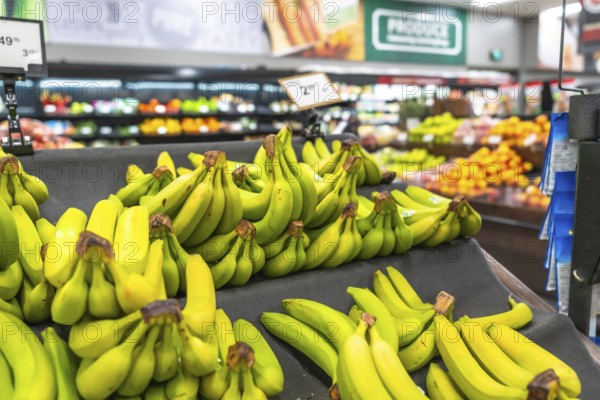Bunches of vibrant green bananas are neatly arranged on a dark cloth, creating an abundant display at a grocery store, surrounded by a variety of other fresh produce