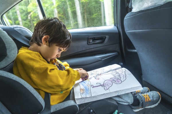 Young boy concentrating on coloring a flamingo in a book while secured in a car seat during a road trip with a rainforest view outside in ucluelet, british columbia