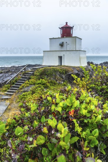 White lighthouse with a striking red top rising from a rocky shore, surrounded by lush green vegetation, overlooking a calm ocean beneath a cloudy sky on a misty day