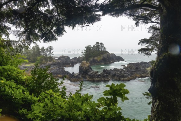 Lush vegetation and coniferous trees framing a stunning view of rugged coastline and rocky islets in ucluelet, british columbia, with the pacific ocean under a cloudy sky