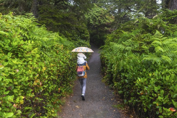 Mother carrying her child on her shoulders, holding an umbrella and walking on a path in a lush rainforest on vancouver island, british columbia, canada, enjoying a peaceful moment in nature