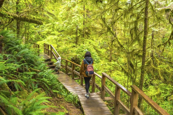 Mother and child enjoying a hike, walking on a wooden path through a lush rainforest in ucluelet, a town on vancouver island, british columbia, canada, surrounded by ferns and mossy trees