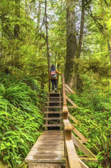 Female hiker with backpack ascending wooden stairs on a lush rainforest trail in ucluelet, vancouver island, british columbia, enjoying the tranquility of nature and exploring the wilderness