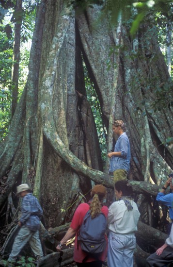Travel group in front of giant trees in Tambopata National Park in the Amazon Basin, Peru, South America, September 1997, vintage, retro, old, historic