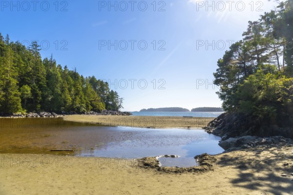 Calm inlet waters reflecting a vibrant blue sky create a serene coastal landscape with lush green trees and sandy beaches on a sunny summer day in tofino, british columbia