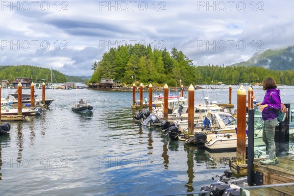 Tourist enjoying a scenic view of boats moored at a wooden dock in tofino harbor, framed by a tree covered island and vancouver island's forested coastline on a cloudy summer day