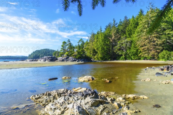 Crystal clear water gently caresses the sandy shores of mackenzie beach. Where lush evergreen forests meet the ocean in tofino. Creating a tranquil summer scene on vancouver island. British columbia