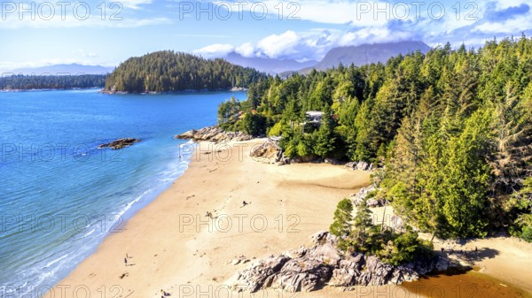 Turquoise water gently caressing the sandy shores of mackenzie beach, surrounded by lush green forest and rocky outcrops, creates a breathtaking coastal panorama in tofino, vancouver island