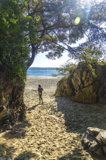 Sun shining through trees on tourist walking down sandy path leading to chesterman beach in tofino, british columbia, canada, with sailboat in background