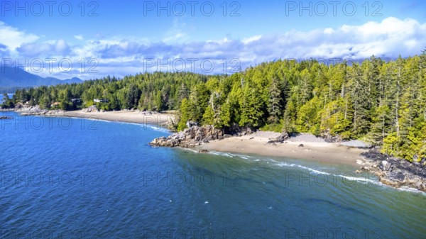 Aerial view of tofino's stunning coastline, showcasing a beautiful sandy beach nestled amidst a vibrant green forest, creating a picturesque summer scene on vancouver island, canada
