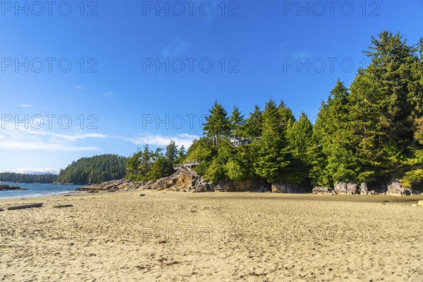 Beautiful house nestled among lush green trees overlooks a pristine sandy beach in tofino, vancouver island, creating a serene and idyllic coastal scene under a clear blue sky