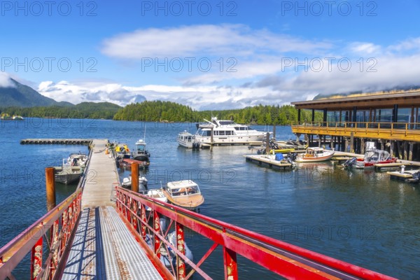 Red pier leading to a marina full of boats with a building on stilts over the water in tofino, vancouver island, british columbia, canada, on a sunny summer day with blue sky and clouds