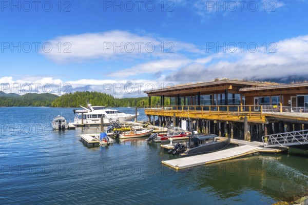 Modern architecture buildings overlooking clayoquot sound with boats moored at dock in tofino harbor on vancouver island, british columbia, canada, on a beautiful summer day