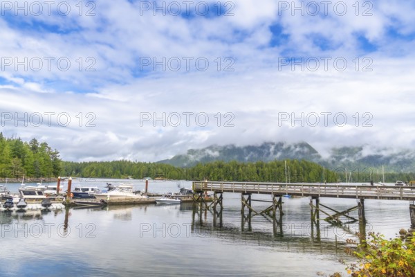 Tranquil harbor scene in tofino, british columbia, featuring a wooden pier, moored boats, lush green forests, and mountains partially shrouded in mist under a cloudy sky