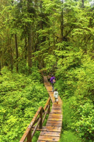 Tourists walking on a wooden boardwalk trail through lush rainforest in ucluelet on vancouver island, british columbia, canada, enjoying a tranquil nature walk