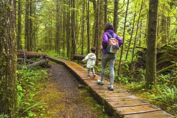Mother and child are enjoying a hike through a lush rainforest trail in ucluelet, british columbia, surrounded by vibrant green foliage and towering trees
