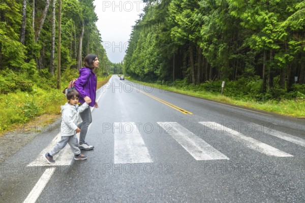 Mother and son crossing a paved road at a pedestrian crossing in a lush rainforest near ucluelet on vancouver island, highlighting road safety and family adventures