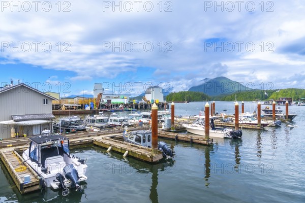 Fishing boats and yachts are docking at a pier in tofino, a small district municipality on the west coast of vancouver island in british columbia, canada, on a cloudy summer day