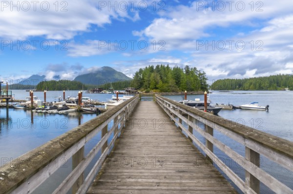 Long wooden pier leading to a small forested island in tofino harbor, vancouver island, british columbia, canada, surrounded by tranquil blue waters, boats, and distant mountains under a cloudy sky