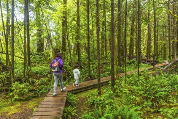 Mother and child walking on a wooden boardwalk in a lush green rainforest trail near ucluelet on vancouver island, british columbia, canada, enjoying the tranquility and beauty of nature