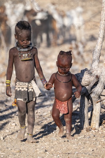 Himba children shake hands, traditional Himba village, Kaokoveld, Kunene, Namibia