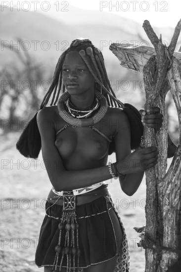 Black and white, young Himba woman with jewelry, portrait, traditional Himba village, Kaokoveld, Kunene, Namibia