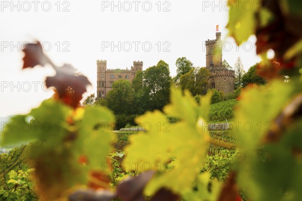 Castle and autumnal vineyards, Ortenberg Castle, Ortenberg, Kinzigtal, Ortenau, Black Forest, Baden-Württemberg, Germany