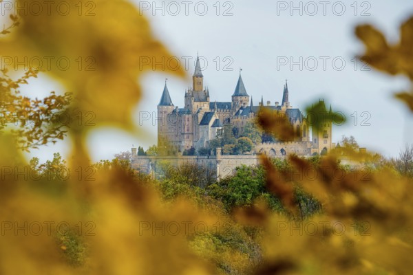 Castle and autumnal forest, Hohenzollern Castle, Hechingen, Swabian Jura, Baden-Württemberg, Germany
