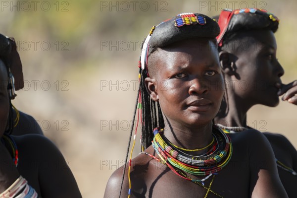 Portrait, brightly decorated woman of the Hakaona tribe also Havakona or Hakawona, near Opuwo, Kunene, Namibia
