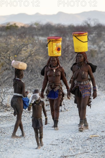 Himba woman and children run to fetch water with canisters through dry countryside, traditional Himba, Kaokoveld, Kunene, Namibia