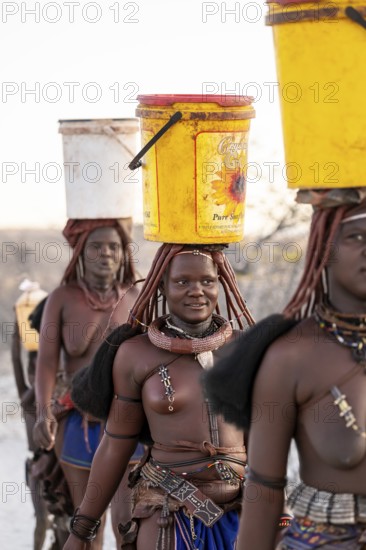 Himba woman fetching water, heavy water bucket on their heads, traditional Himba, Kaokoveld, Kunene, Namibia