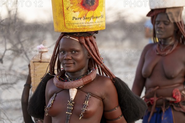 Himba woman fetching water, heavy water bucket on their heads, traditional Himba, Kaokoveld, Kunene, Namibia