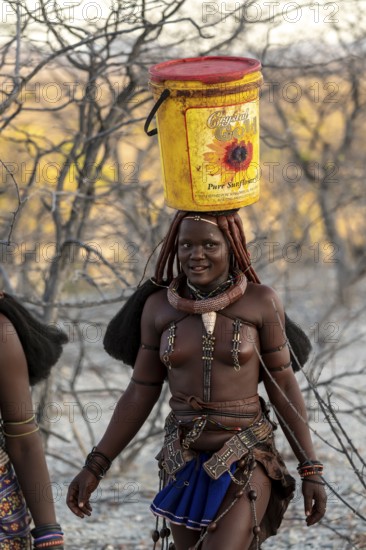 Himba woman fetching water, heavy buckets on their heads, traditional Himba, Kaokoveld, Kunene, Namibia