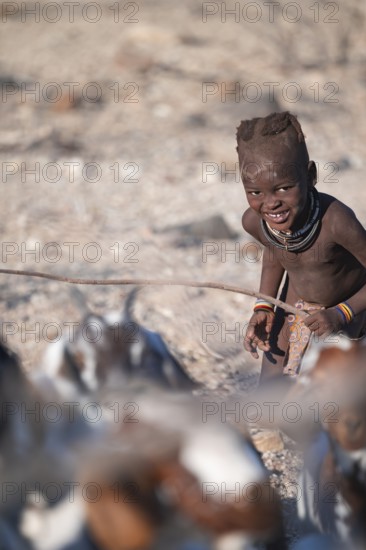 Himba child herding goats, traditional Himba village, Kaokoveld, Kunene, Namibia
