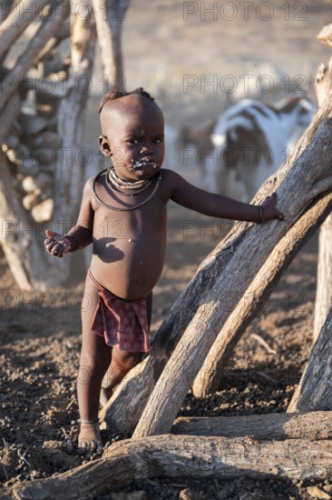 Himba child at the goat stable looks funny, traditional Himba village, Kaokoveld, Kunene, Namibia