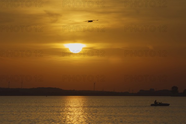 A boat sails across the lake, Steinhude, Steinhuder Meer during a glowing sunset