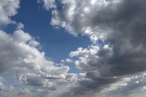 Rain clouds (Nimbostratus) over the Darß, Mecklenburg-Vorpommern, Germany
