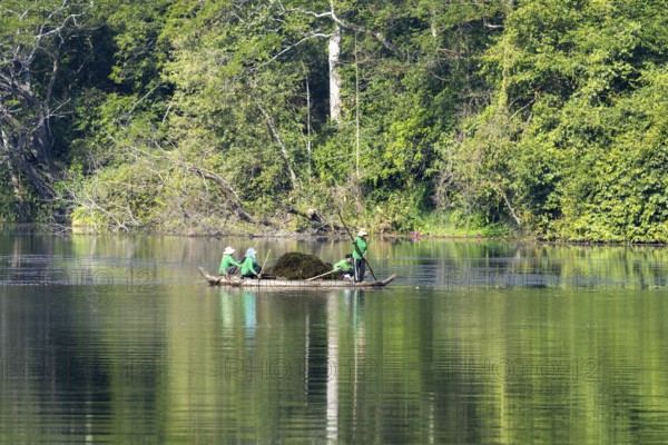 Women harvest seagrass, water channel in Angkor Thom, UNESCO World Heritage Site, Siem Reap, Cambodia