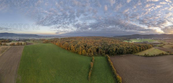 Aerial view of fields and autumn forest on Grossauer Höhe, Berndorf, Lower Austria, Austria
