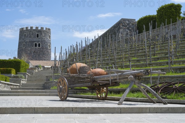 Traditional vineyard with an old wine press and a stone tower in rural surroundings, Rabati Fortress, Akhaltsikhe, Samtskhe-Javakheti region, Samtskhe-Javakheti, Georgia