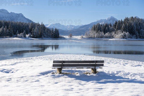 Snowy lakeside bench in front of picturesque mountain scenery, Forggensee near Roßhaupten, Ostallgäu, Allgäu, Bavaria, Germany