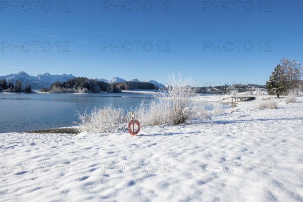 Snowy lakeside landscape with views of mountains and clear skies, Forggensee near Roßhaupten, Ostallgäu, Allgäu, Bavaria, Germany