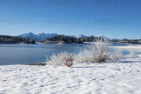 Snow-covered shore with view of snowy mountains through clear sky, Forggensee near Roßhaupten, Ostallgäu, Allgäu, Bavaria, Germany