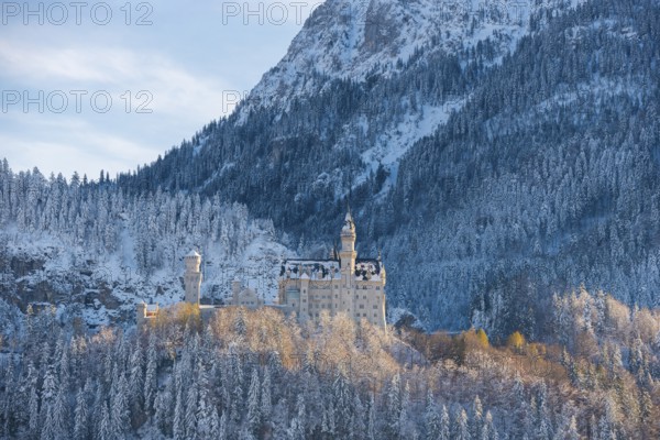 Romantic Neuschwanstein Castle in winter surroundings, nestled in snow-covered mountain landscape, Schwangau, Ostallgäu, Allgäu, Bavaria, Germany