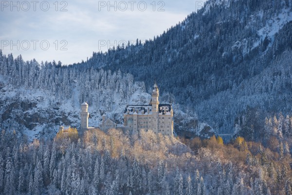 Neuschwanstein Castle in the winter panorama, surrounded by snow-covered forests and mountains, Schwangau, Ostallgäu, Allgäu, Bavaria, Germany